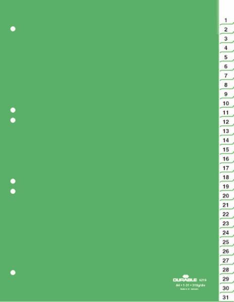 Ločilni listi A4 1/31 (6219)